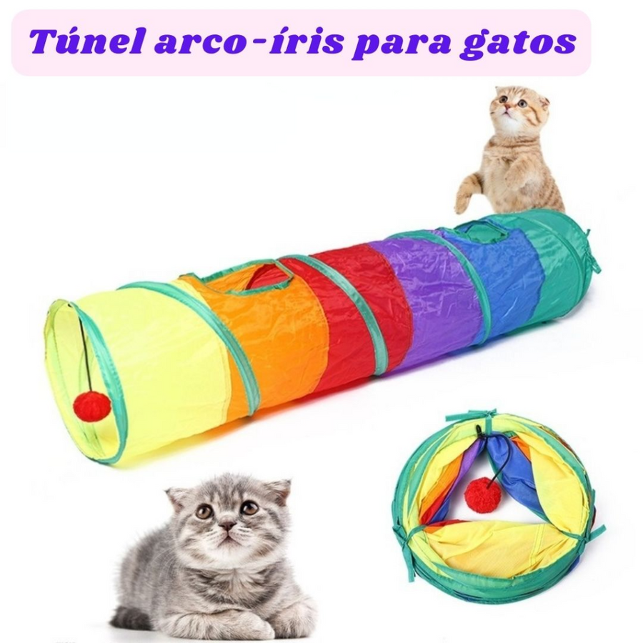 Túnel arco-íris para Gatos