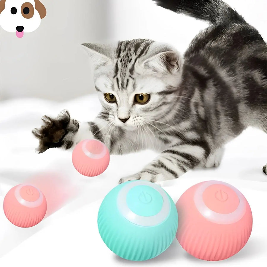 Bola Inteligente para Pet - Smart Ball™