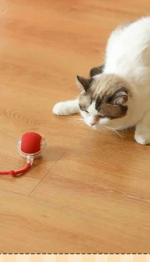 Brinquedos interativos para gatos bola elétrica automática