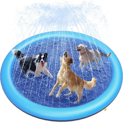 Piscina Antiderrapante para Cães de Estimação