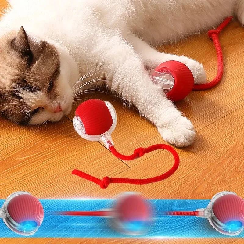 Brinquedos interativos para gatos bola elétrica automática